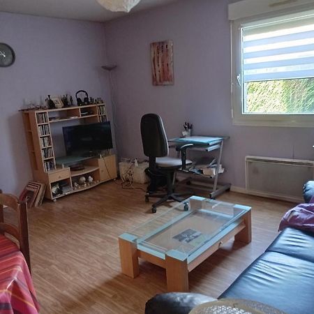 Chambre Chez L'Habitant サン＝ディエ＝デ＝ヴォージュ エクステリア 写真