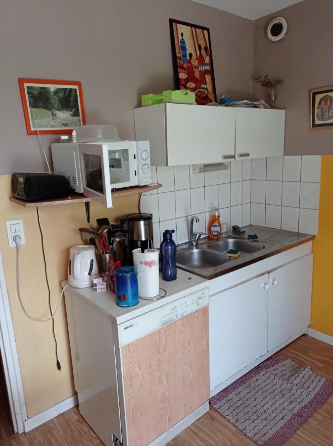 Chambre Chez L'Habitant サン＝ディエ＝デ＝ヴォージュ エクステリア 写真
