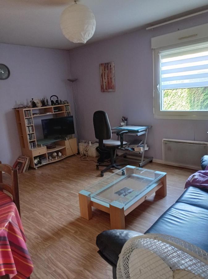 Chambre Chez L'Habitant サン＝ディエ＝デ＝ヴォージュ エクステリア 写真